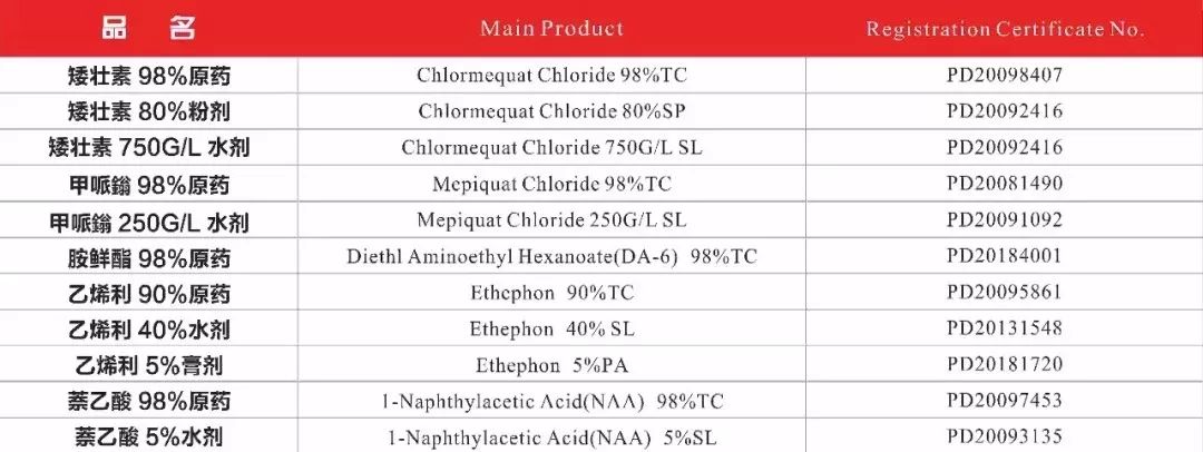 beat365(中国)官方网站